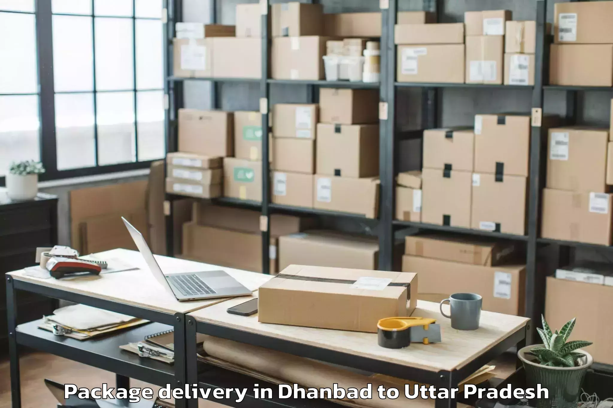 Book Dhanbad to Lakhna Package Delivery Online